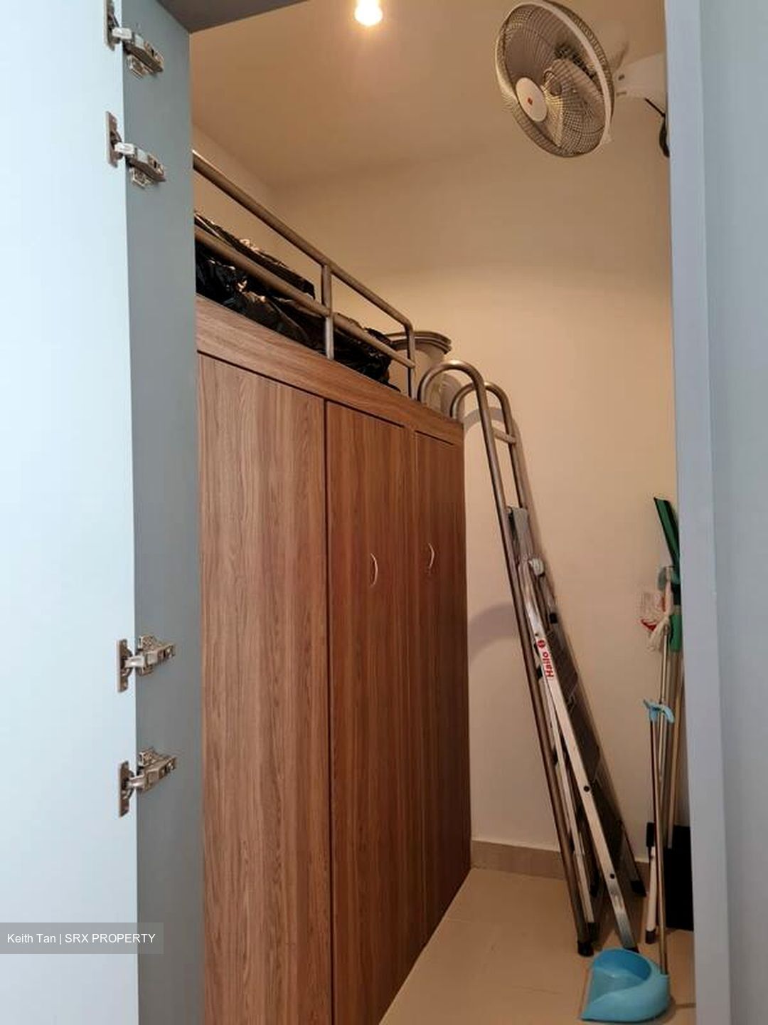 Parc Emily (D9), Condominium #496537181